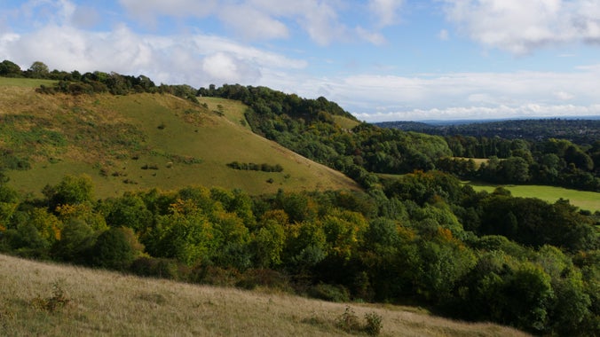 A view over rolling green hills, wooded hillsides and fields at Reigate Hill and Gatton Park in Surrey